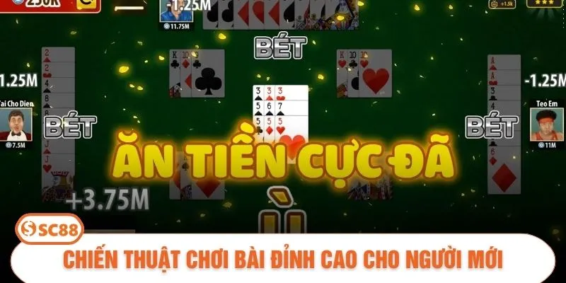 Chiến thuật chơi bài đỉnh cao cho người mới