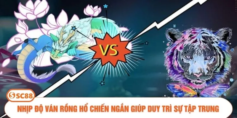 Nhịp độ ván Rồng Hổ chiến ngắn giúp duy trì sự tập trung